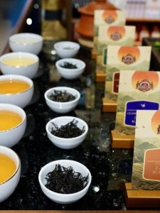 斯里兰卡：茶香越山海 古园启新章