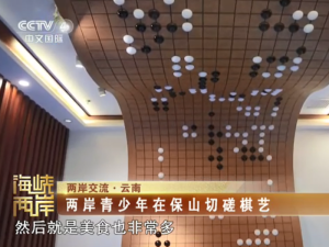 【海峡两岸】两岸交流·云南：两岸青少年在保山切磋棋艺