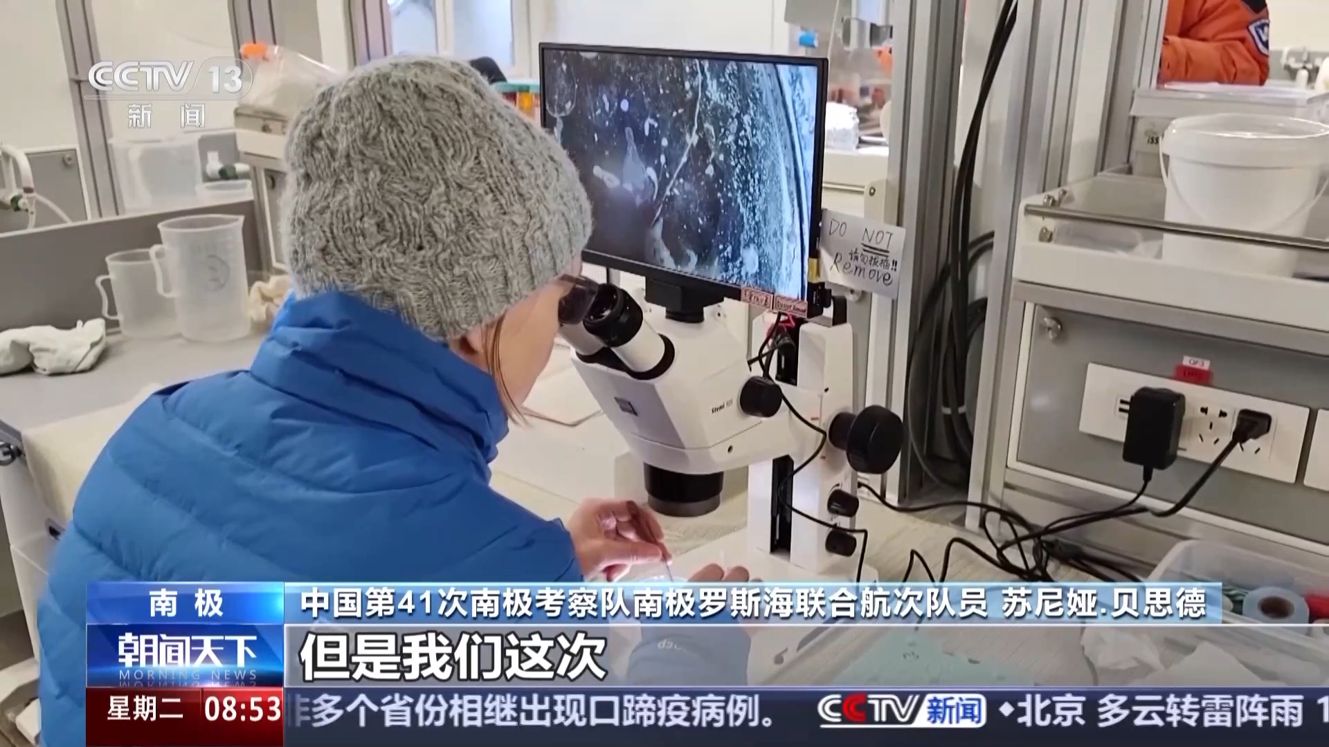 涉及海冰研究、海洋生物等 中国南极科考有了新发现