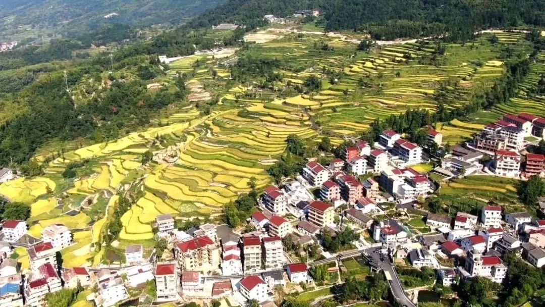 浙江青田华侨二代回乡创业，连通世界助力侨博