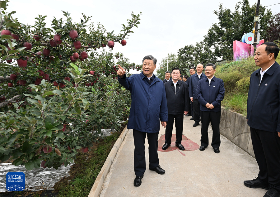習近平在甘肅考察 習近平在甘肅考察