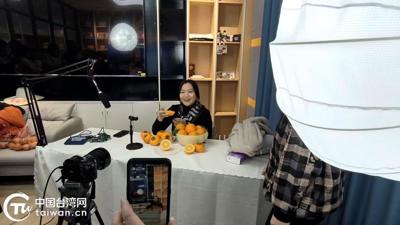 桂台青年以“播”会友 实操研学促心灵契合