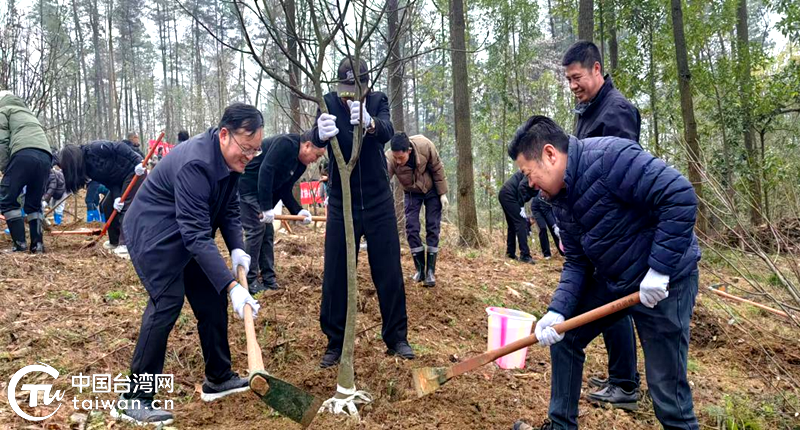 台湾同胞积极参与“绿美贵阳·同心聚力”植树活动