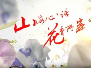 云南首部两岸花卉文旅微短剧《山海心语 花香两岸》（第七集）