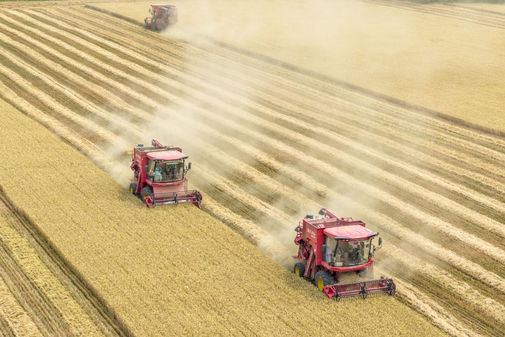 筑牢发展安全根基 守住风险防控底线——解码中国经济稳健前行的底气