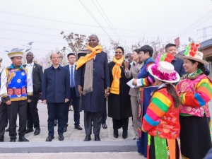 莫桑比克总统探访青海乡村