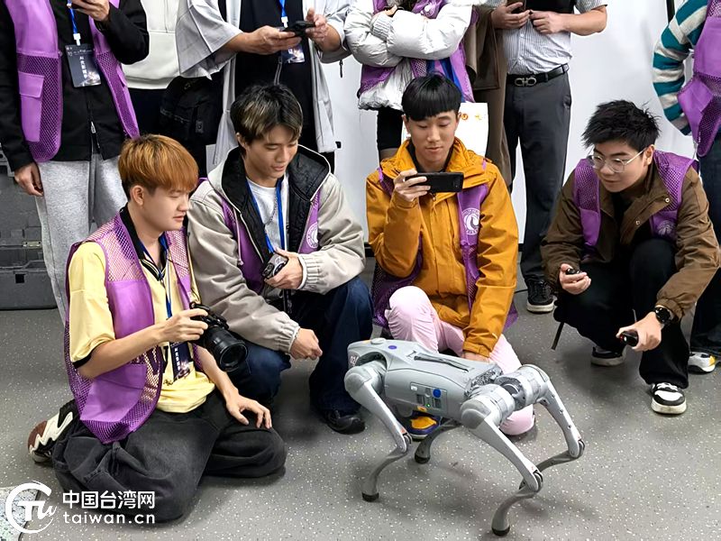 “I·视界” 光影为媒——第11届“金飞燕”海峡两岸微电影微视频大赛圆满落幕