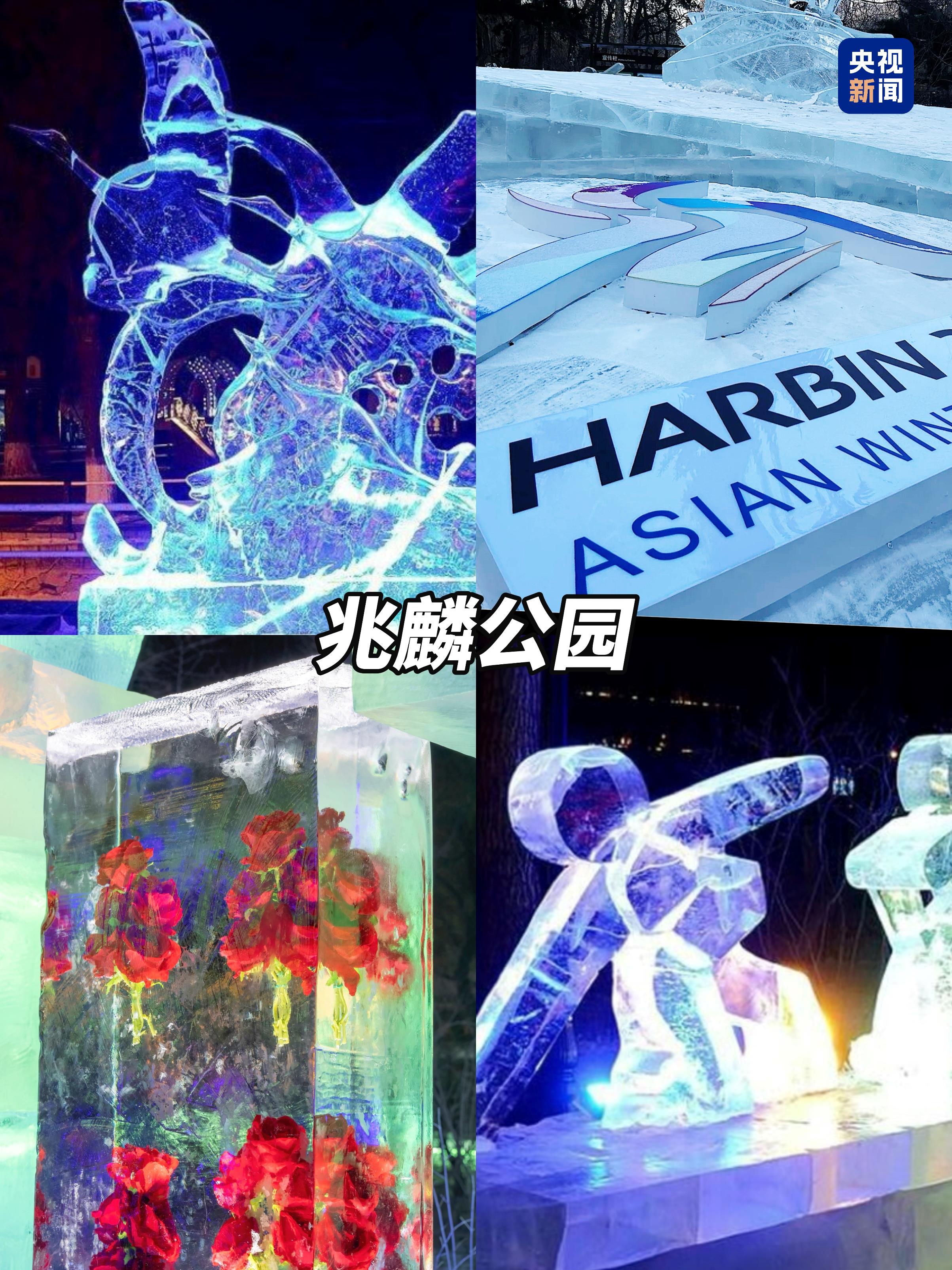 文化中国行丨亚冬会今晚开幕！到尔滨街头来一场冰雪 Citywalk