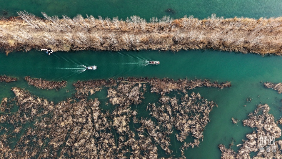 时政新闻眼丨第四次到雄安，习近平为“千年大计”作出重要部署