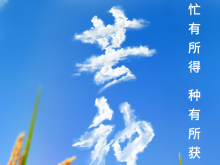 芒种节气小知识来了 夏种作物都有什么？
