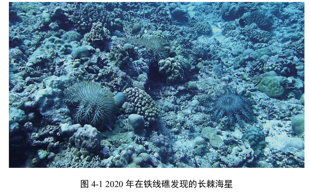 中国首次发布铁线礁、牛轭礁珊瑚礁“体检”报告 菲炮制言论毫无科学和事实依据