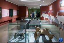 感受埃塞俄比亚国家博物馆