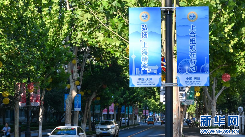 上合国家人士期盼上合组织天津峰会助力构建国际关系的新范式