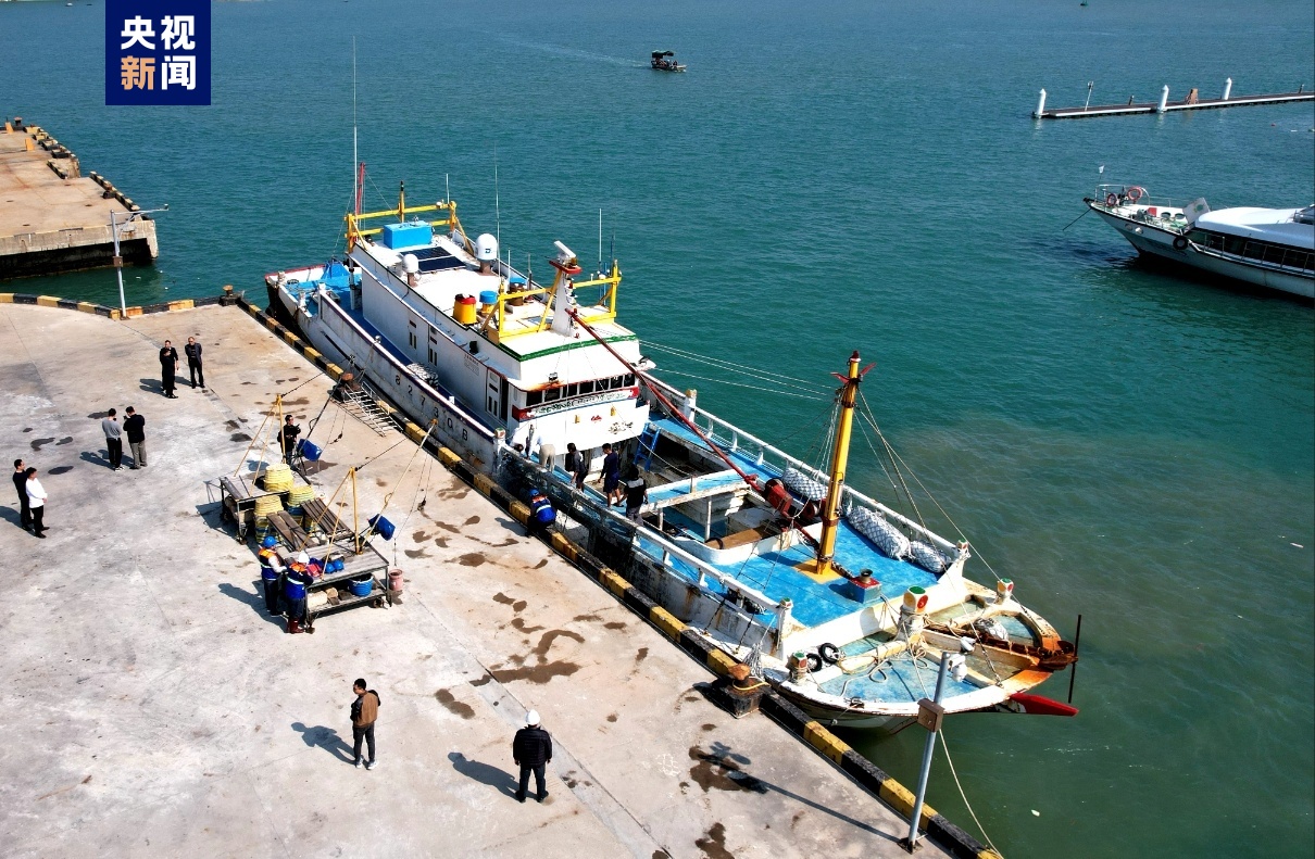 台灣地區石斑魚恢復輸入 首批活魚運抵福建東山港 台灣地區石斑魚恢復輸入 首批活魚運抵福建東山港