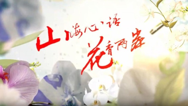 云南首部两岸花卉文旅微短剧《山海心语 花香两岸》（第一集）_fororder_截图录屏_选择区域_20251127154727