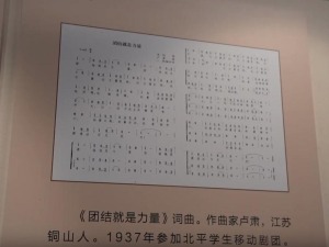 台湾青年学唱《团结就是力量》 感受中华儿女坚不可摧的磅礴力量