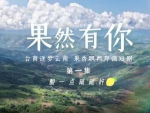 台商逐梦云南，果香飘两岸微短剧《果然有你》第一集：酸一点刚刚好