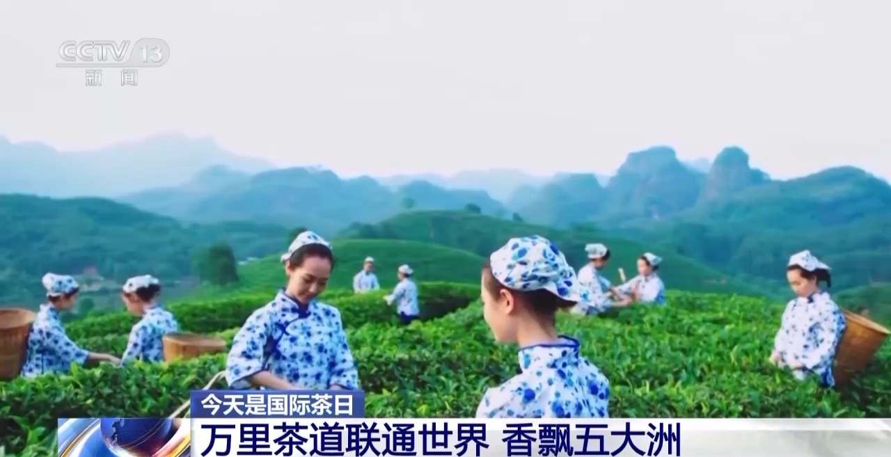 国际茶日来“万里茶道”的起点 赴一场茶香之约