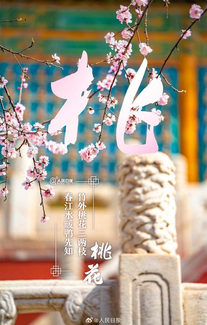 收藏美好！当汉字与春天不期而遇