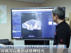 中国脑图谱研究系列成果集中发布 珍贵数据供国内外学者研究