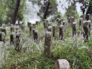 立秋后的银杏树与水果糖——台胞在滇西的悼念与致敬