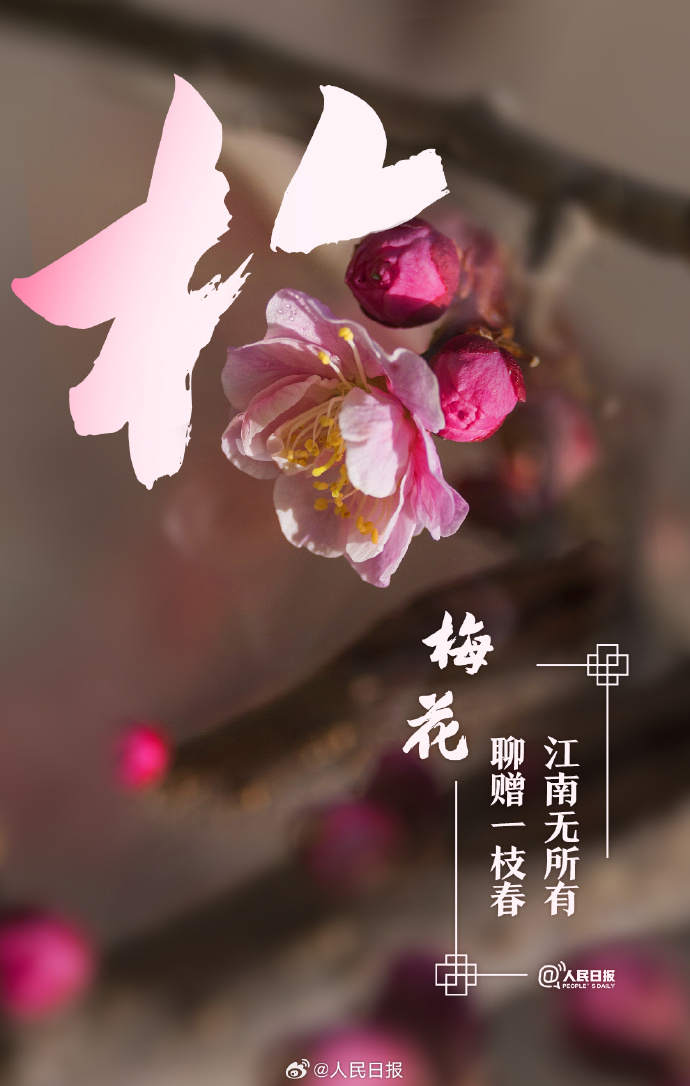 收藏美好！当汉字与春天不期而遇