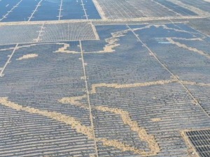 台湾青年走进光伏领跑者基地 惊叹沙漠中的阳光奇迹