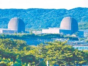 两岸观察短评｜“反核”？“返核”？都是为了选票！