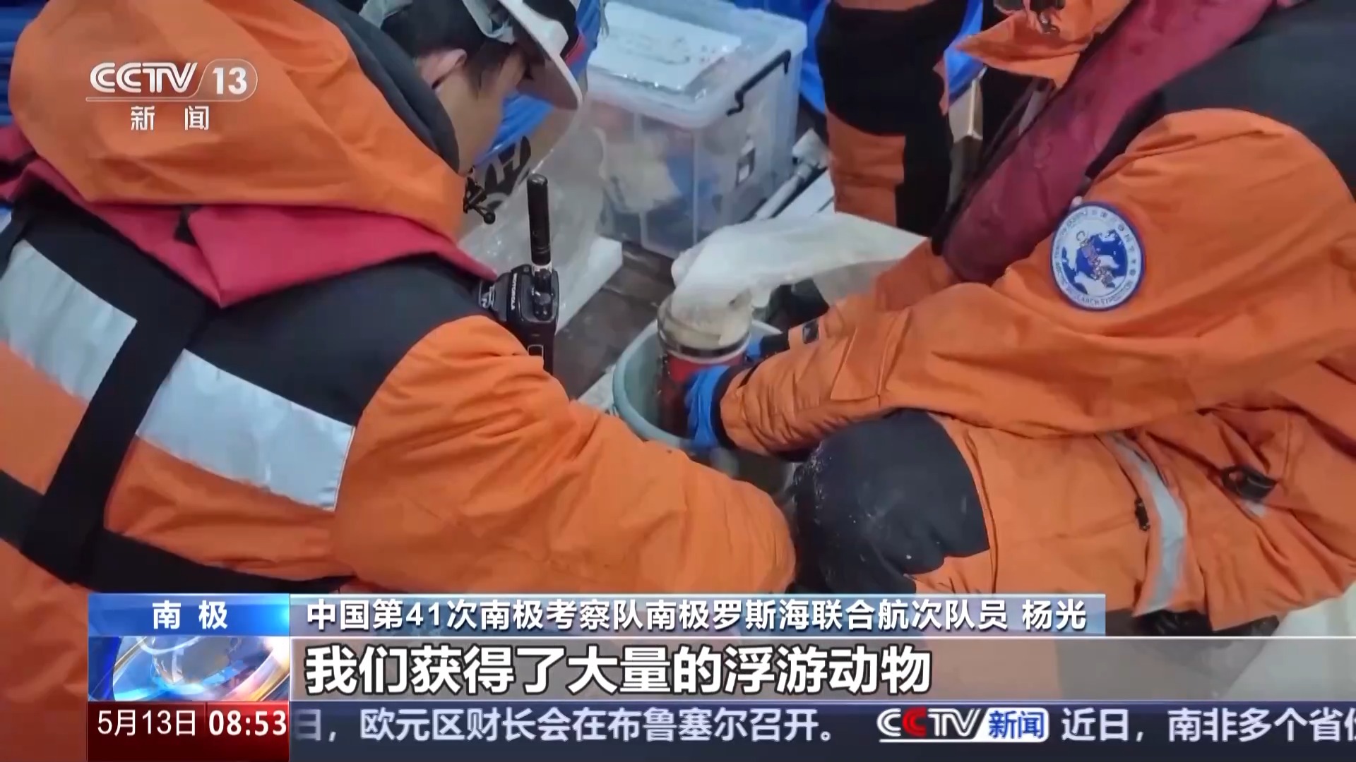 涉及海冰研究、海洋生物等 中国南极科考有了新发现
