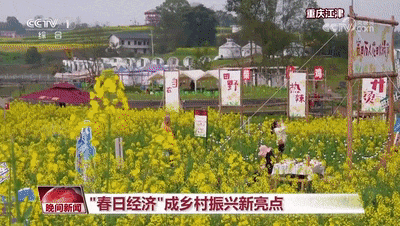 一起乘上开往春天的时光火车 穿越花海