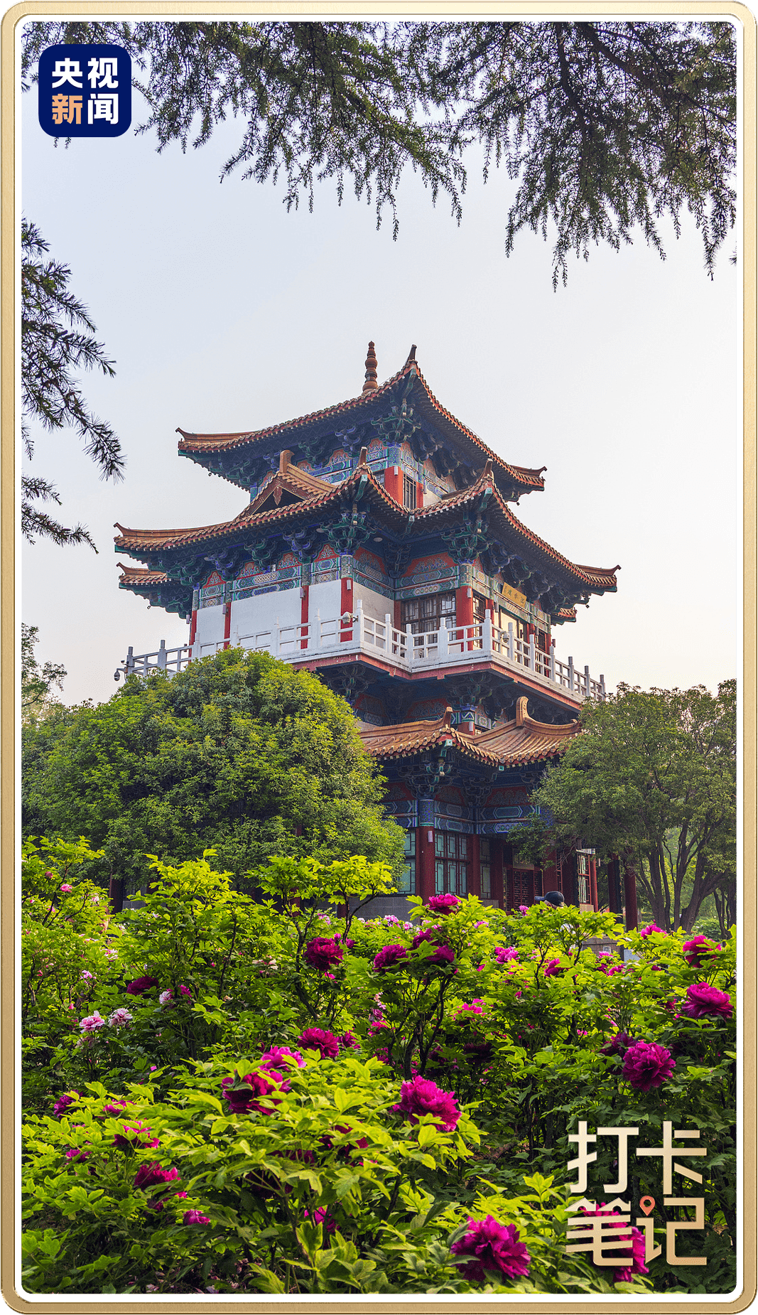 洛 阳 ，还 得 是 洛 阳 ！