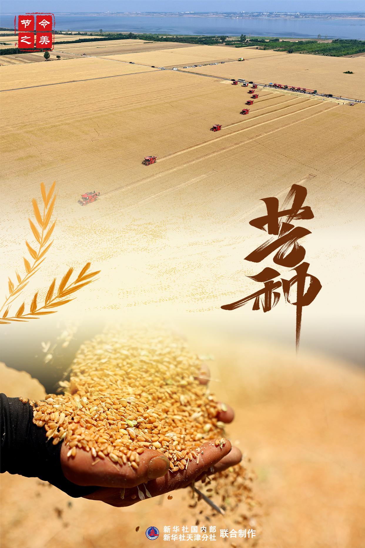 节令之美·芒种｜孟夏将尽 仲夏登场