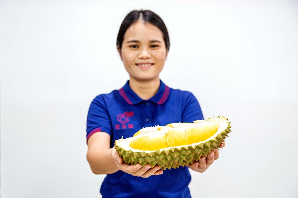 从泰国果园到中国市场 一颗榴莲的“北上之旅”