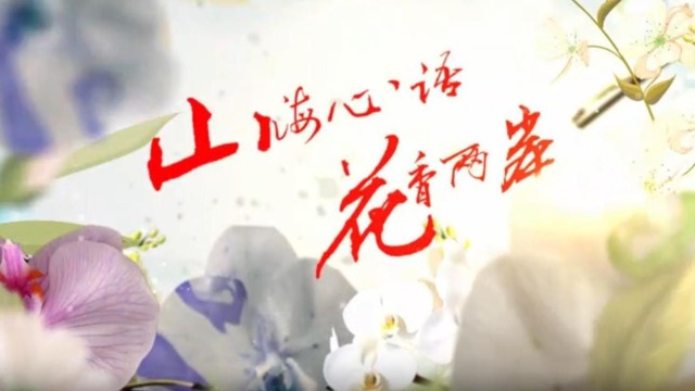 云南首部两岸花卉文旅微短剧《山海心语 花香两岸》（第三集）_fororder_截图录屏_选择区域_20251127154727