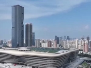 “通关速度快到飞起”！新皇岗口岸焕新开通