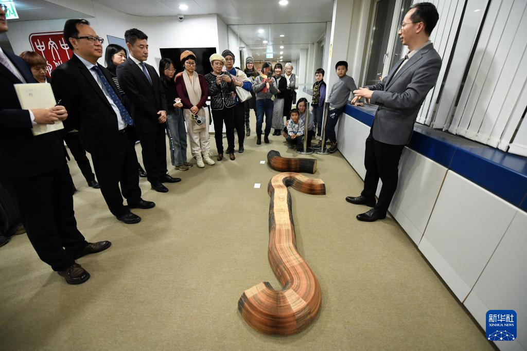 中国当代纸本艺术展在瑞士伯尔尼举办