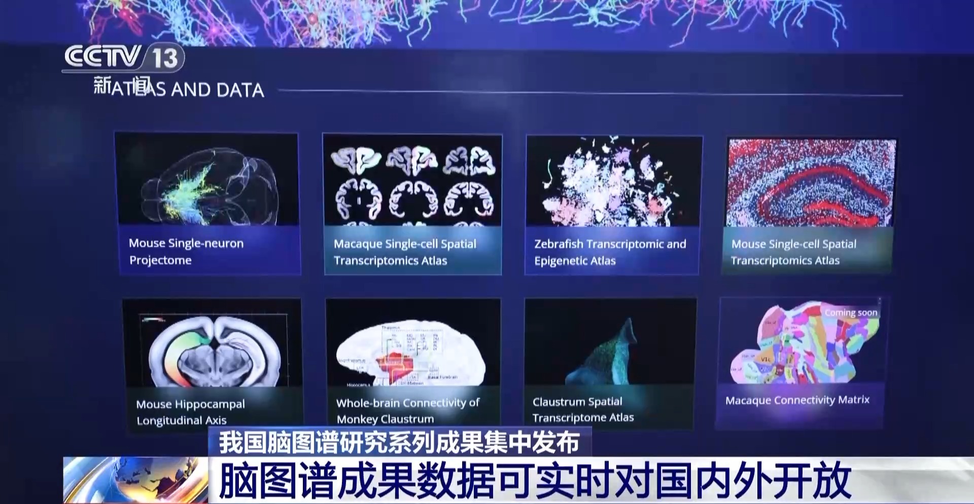 中国脑图谱研究系列成果集中发布 珍贵数据供国内外学者研究