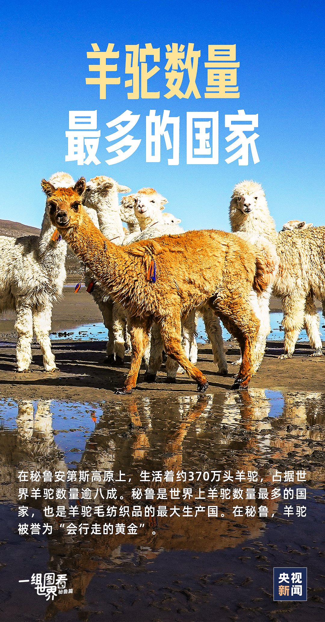 一组图看世界丨这里是秘鲁