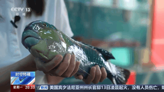 辽阔海洋变“蓝色粮仓” 深海美味“游”向餐桌