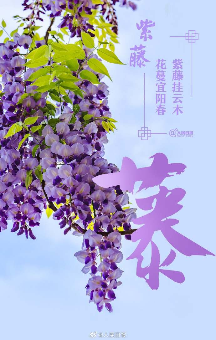 收藏美好！当汉字与春天不期而遇