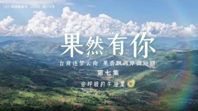 两岸微短剧《果然有你》第七集：会呼吸的牛油果_fororder_截图录屏_选择区域_20251124120406