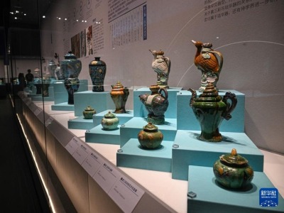 浪起千帆 深蓝宝藏——博物馆里的海丝遗珍