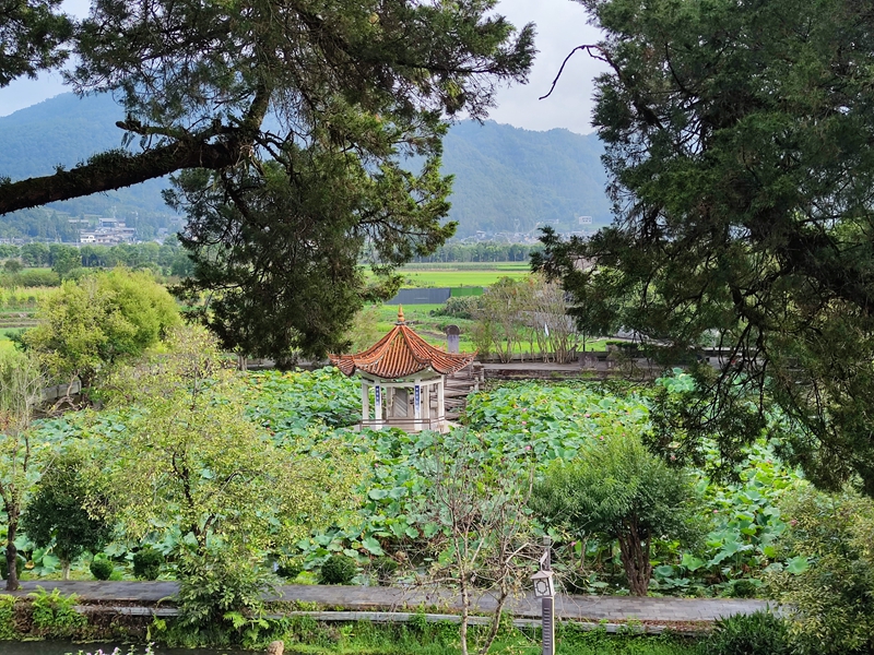 绿水青山引客来: 一座600年古镇的生态实践
