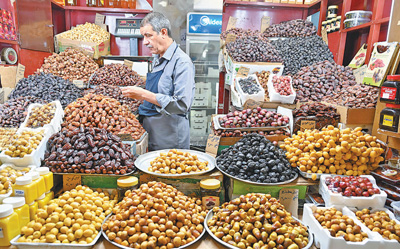 科威特迎来椰枣收获季