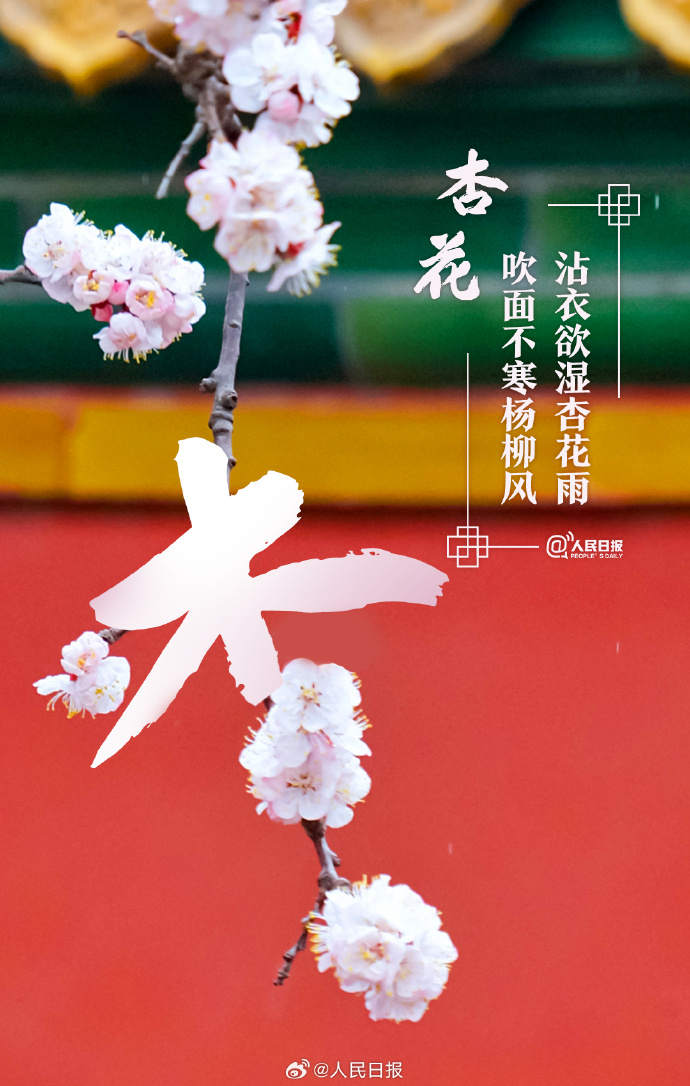 收藏美好！当汉字与春天不期而遇