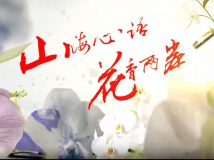云南首部两岸花卉文旅微短剧《山海心语 花香两岸》（第十集）