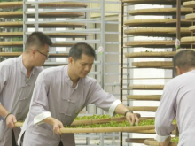 2025年明台职工美人茶制茶技能竞赛在福建大田举行