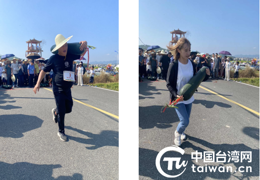 礼赞丰收，同心共庆——台青跨越海峡参与武平2025年中国农民丰收节暨田野音乐会活动