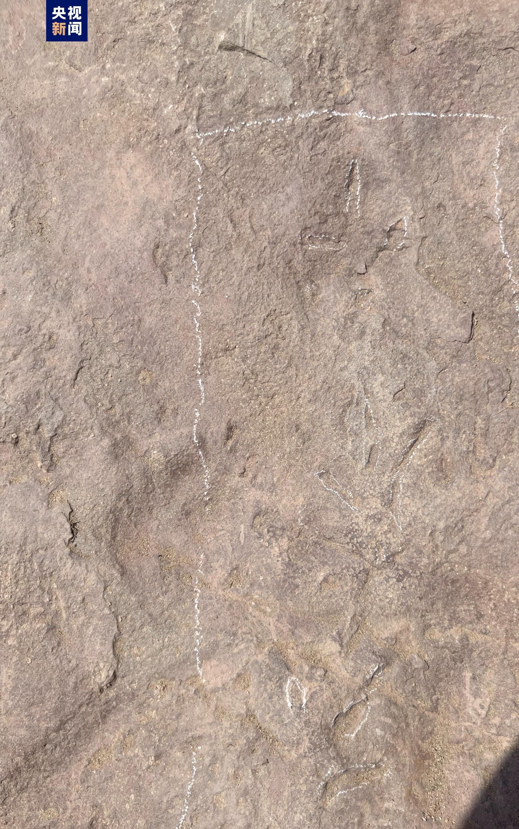 甘肃临夏新发现白垩纪微小型恐龙足迹化石 属中国西北首次 甘肃临夏新发现白垩纪微小型恐龙足迹化石 属中国西北首次