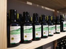 意大利橄榄油坊期待“中国机遇”